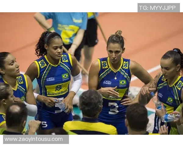 上海排球队在精英赛中的力量展现与战术分析