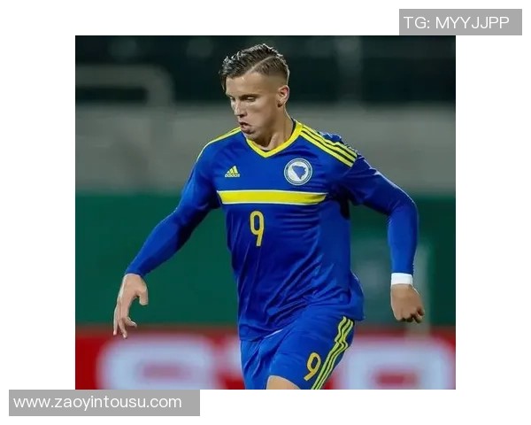 波黑足球明星的传奇之路与他们的辉煌成就探秘