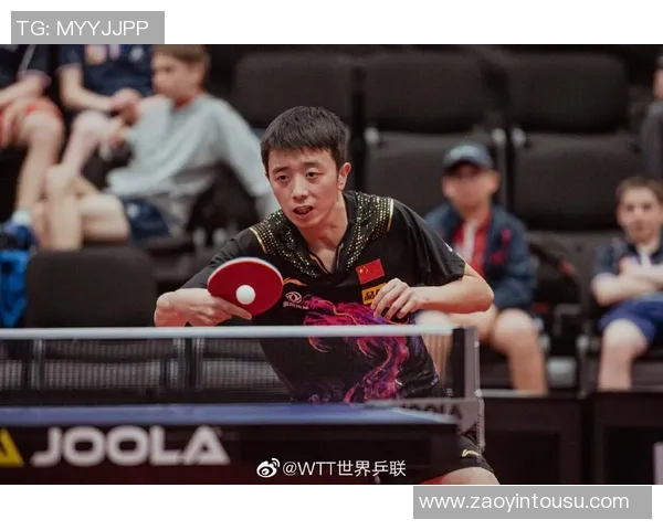 成都乒乓球队个人能力排名创新高引发广泛关注与讨论