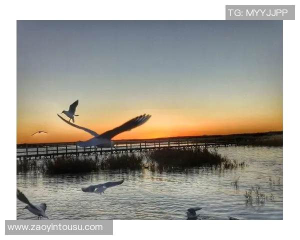 足球余涵的成长之路与梦想追逐的精彩瞬间