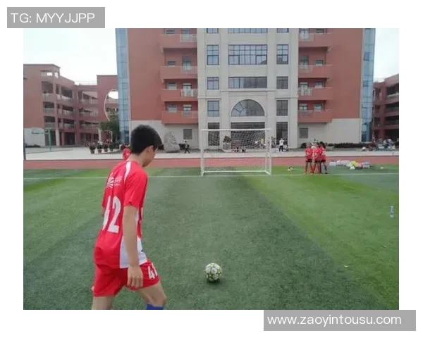 足球规划华裔青少年培养之路探索与发展策略分析