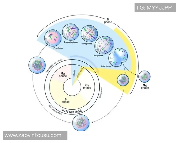 足球遗传的奥秘探讨:基因如何影响球员的技术与表现 足球遗传的奥秘探讨:基因如何影响球员的技术与表现