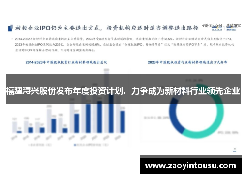 福建浔兴股份发布年度投资计划，力争成为新材料行业领先企业