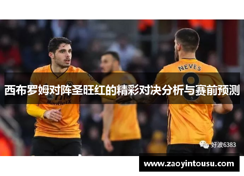 西布罗姆对阵圣旺红的精彩对决分析与赛前预测