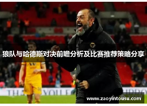 狼队与哈德斯对决前瞻分析及比赛推荐策略分享