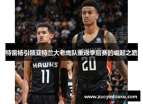 特雷杨引领亚特兰大老鹰队重返季后赛的崛起之路